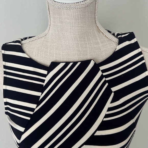 Cremieux Sleeveless Shift Dress features a classic design. - Picture 6 of 7